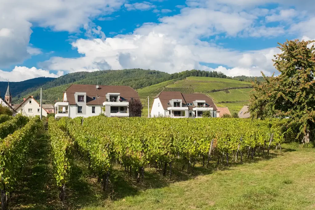 Les Terrasses du Vignoble – Tradim